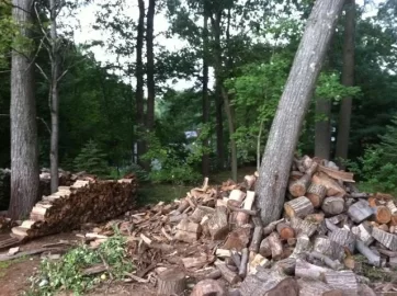 [Hearth.com] wood shed all loaded