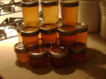 [Hearth.com] Freezer where you at? Post your Pics and fruits of your labour.