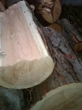[Hearth.com] Wood ID