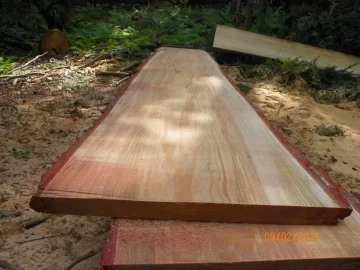 [Hearth.com] Hemlock Milled