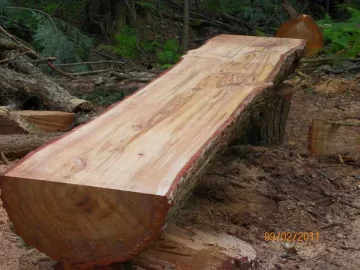 [Hearth.com] Hemlock Milled