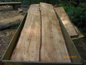 [Hearth.com] Hemlock Milled