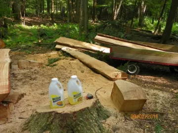 [Hearth.com] Hemlock Milled