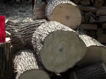 [Hearth.com] Wood ID