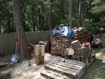 [Hearth.com] Wood ID