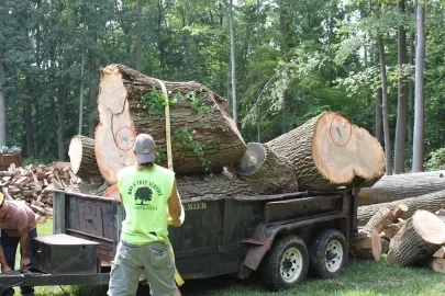 [Hearth.com] How to deal with HUGE logs.