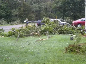 [Hearth.com] Bad day for 3 trees in the neighborhood yesterday