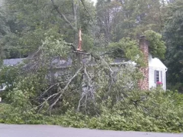 [Hearth.com] Bad day for 3 trees in the neighborhood yesterday