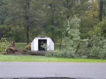 [Hearth.com] Bad day for 3 trees in the neighborhood yesterday