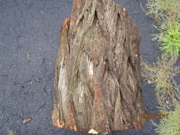 [Hearth.com] wood ID