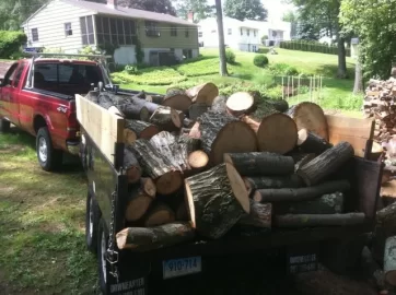 [Hearth.com] I really need a pickup truck now that I am collecting firewood