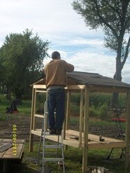 Chicken coop Prodject for labar day weekend....Help and in-put + parts list