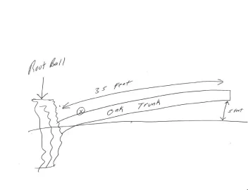 [Hearth.com] Help Needed-how would you cut this tree?