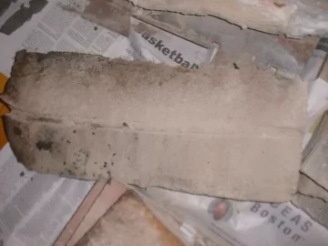 [Hearth.com] T5 Alderlea Cleaning and Maintenance Questions