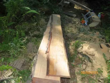 [Hearth.com] Saturdays Milling