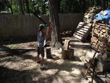 [Hearth.com] Minor oak scrounge