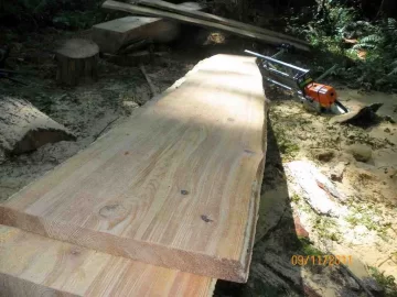 [Hearth.com] More Milling Today