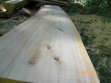 [Hearth.com] More Milling Today