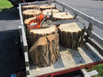 [Hearth.com] New saw