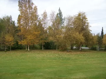[Hearth.com] Fall means leaves