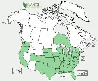 [Hearth.com] Does Osage Orange grow near YOU?