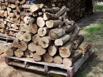 [Hearth.com] Back yard scrounge