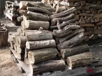 [Hearth.com] Back yard scrounge