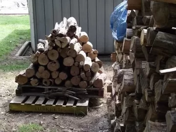 [Hearth.com] Back yard scrounge