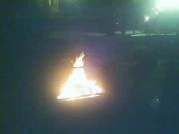 [Hearth.com] Bark burning
