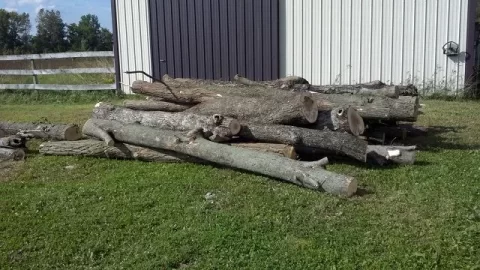 [Hearth.com] Log Length Load Toady