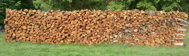 [Hearth.com] Huge cherry we just dropped with pics