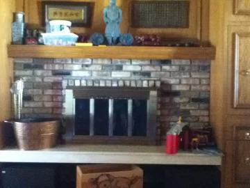 [Hearth.com] Inches away from buying a Alderlea T5 Insert  - so what is the hold up? what would you do?