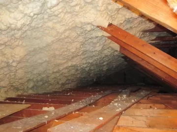 [Hearth.com] Spray foamed the attic