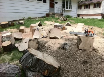 [Hearth.com] Will a 20" bar get through...