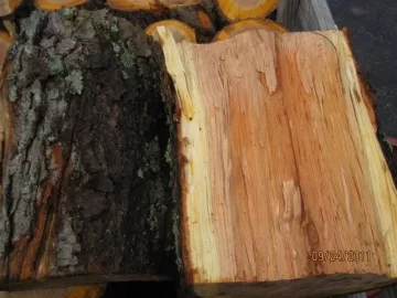 [Hearth.com] Wood ID