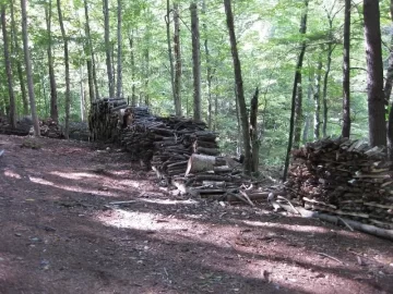 [Hearth.com] Some pics of the stacks and land clearing