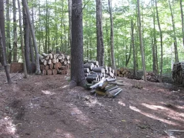 [Hearth.com] Some pics of the stacks and land clearing