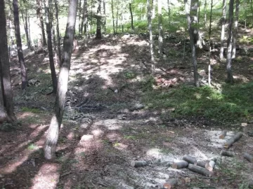 [Hearth.com] Some pics of the stacks and land clearing