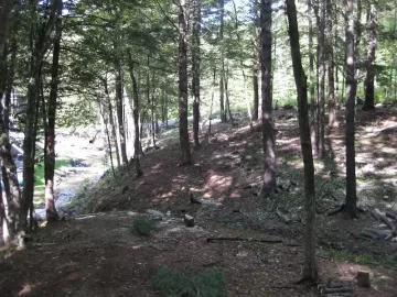 [Hearth.com] Some pics of the stacks and land clearing