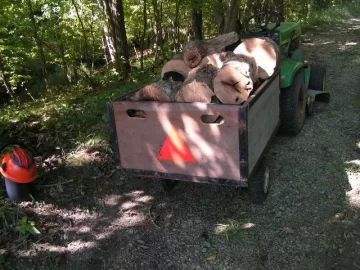 [Hearth.com] New yard wood hauler