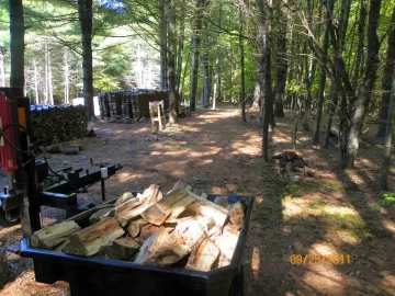 [Hearth.com] Beech Up!