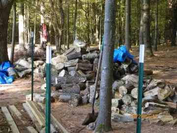 [Hearth.com] Beech Up!