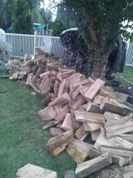 [Hearth.com] my 2012-2013 start