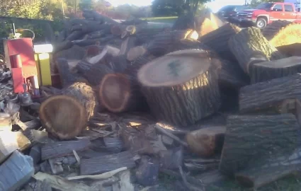 [Hearth.com] Recent wood score - BIG
