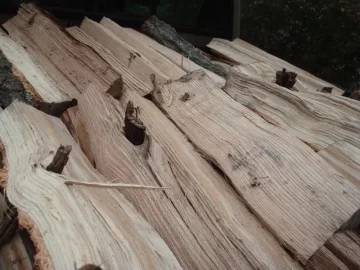 [Hearth.com] 33" Oak rounds fed to 26-ton Iron & Oak