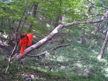 [Hearth.com] Dropping Hung Up Trees