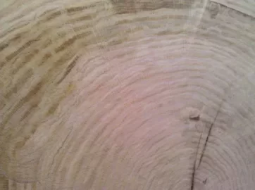 [Hearth.com] What kind of oak.