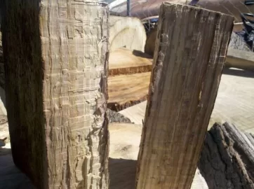 [Hearth.com] What kind of oak.
