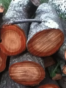[Hearth.com] wood ID?