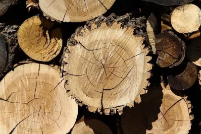 [Hearth.com] Help ID some wood I got from the junkyard please